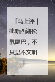 马上评｜拽断西湖松鼠尾巴，不只是不文明
