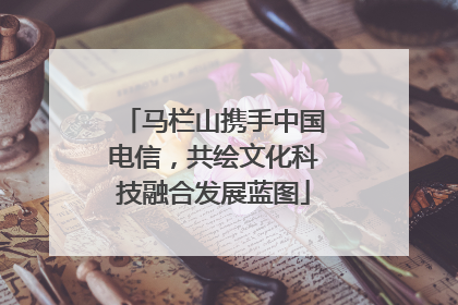 马栏山携手中国电信，共绘文化科技融合发展蓝图