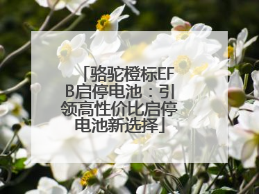 骆驼橙标EFB启停电池：引领高性价比启停电池新选择