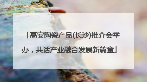 高安陶瓷产品(长沙)推介会举办，共话产业融合发展新篇章