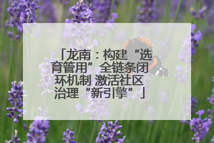 龙南：构建“选育管用”全链条闭环机制 激活社区治理“新引擎”