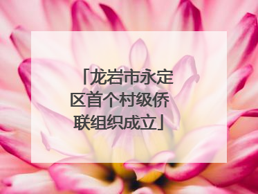 龙岩市永定区首个村级侨联组织成立