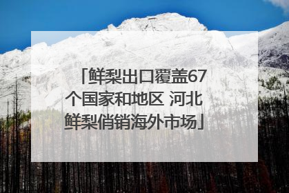 鲜梨出口覆盖67个国家和地区 河北鲜梨俏销海外市场