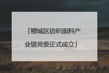 鲤城区纺织面料产业链党委正式成立