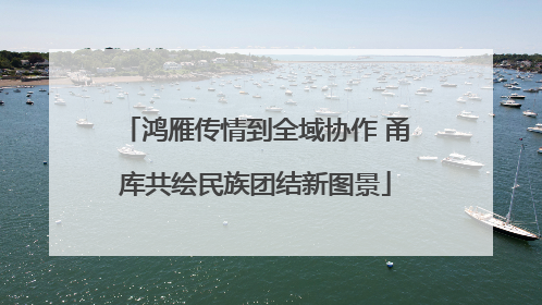 鸿雁传情到全域协作 甬库共绘民族团结新图景
