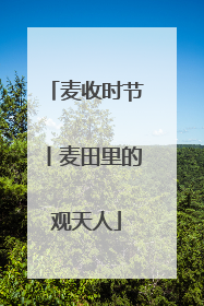 麦收时节丨麦田里的观天人