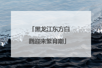 黑龙江东方白鹳迎来繁育期