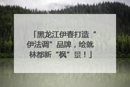 黑龙江伊春打造“伊法调”品牌，绘就林都新“枫”景！
