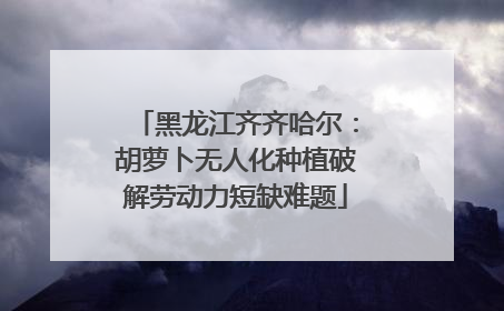 黑龙江齐齐哈尔：胡萝卜无人化种植破解劳动力短缺难题