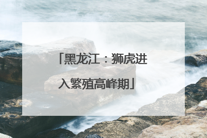 黑龙江：狮虎进入繁殖高峰期