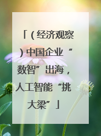（经济观察）中国企业“数智”出海，人工智能“挑大梁”