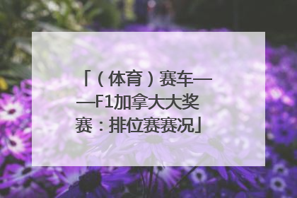 （体育）赛车——F1加拿大大奖赛：排位赛赛况