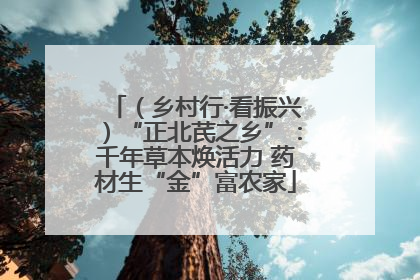 （乡村行·看振兴）“正北芪之乡”：千年草本焕活力 药材生“金”富农家