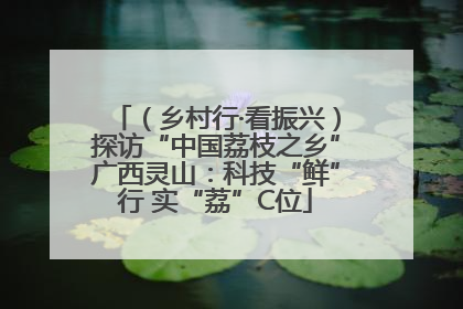 （乡村行·看振兴）探访“中国荔枝之乡”广西灵山：科技“鲜”行 实“荔”C位
