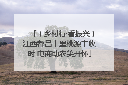 （乡村行·看振兴）江西都昌十里桃源丰收时 电商助农笑开怀