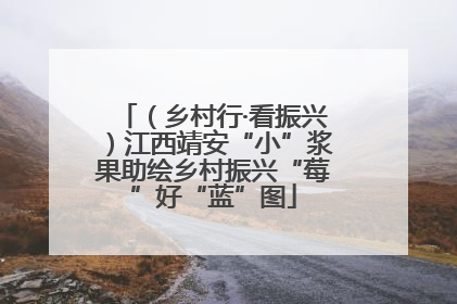 （乡村行·看振兴）江西靖安“小”浆果助绘乡村振兴“莓”好“蓝”图
