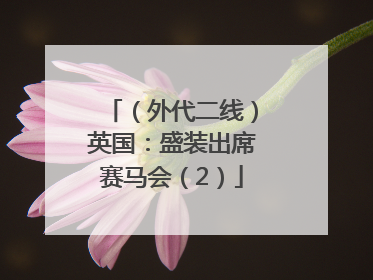 （外代二线）英国：盛装出席赛马会（2）
