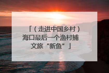 （走进中国乡村）海口最后一个渔村捕文旅“新鱼”