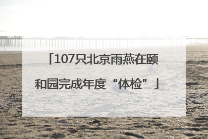 107只北京雨燕在颐和园完成年度“体检”