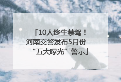 10人终生禁驾！河南交警发布5月份“五大曝光”警示