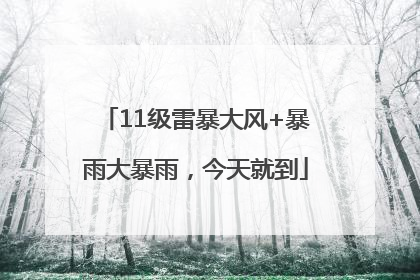11级雷暴大风+暴雨大暴雨，今天就到
