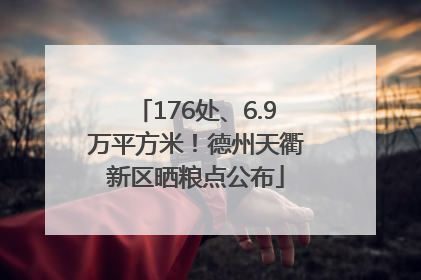 176处、6.9万平方米！德州天衢新区晒粮点公布