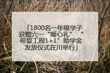 1800名一年级学子获赠六一“暖心礼” “希望工程1+1”助学金发放仪式在川举行