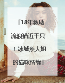 18年救助流浪猫近千只！冰城蔡大姐的猫咪情缘