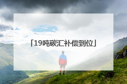 19吨碳汇补偿到位