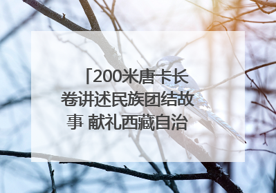 200米唐卡长卷讲述民族团结故事 献礼西藏自治区成立60周年