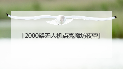 2000架无人机点亮廊坊夜空
