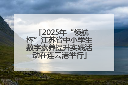 2025年“领航杯”江苏省中小学生数字素养提升实践活动在连云港举行