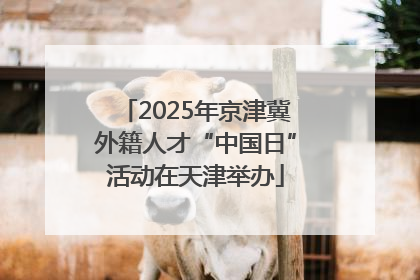 2025年京津冀外籍人才“中国日”活动在天津举办