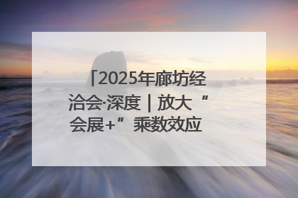 2025年廊坊经洽会·深度｜放大“会展+”乘数效应 打造消费新场景
