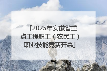 2025年安徽省重点工程职工（农民工）职业技能竞赛开幕