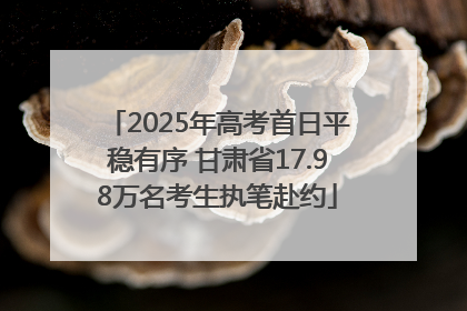 2025年高考首日平稳有序 甘肃省17.98万名考生执笔赴约