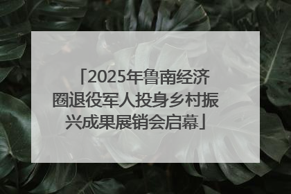2025年鲁南经济圈退役军人投身乡村振兴成果展销会启幕