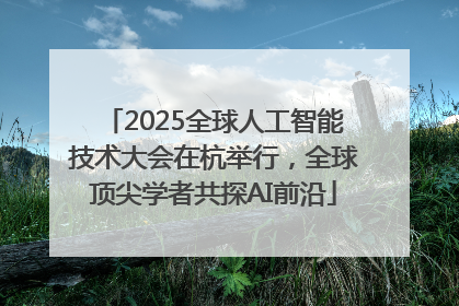 2025全球人工智能技术大会在杭举行，全球顶尖学者共探AI前沿