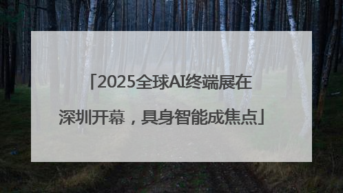 2025全球AI终端展在深圳开幕，具身智能成焦点