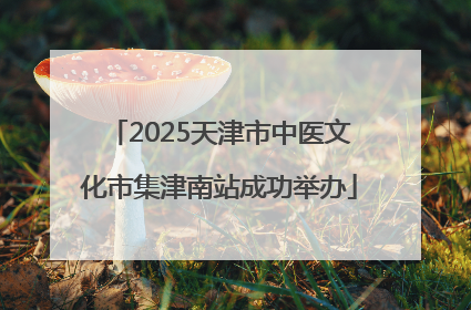 2025天津市中医文化市集津南站成功举办