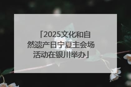 2025文化和自然遗产日宁夏主会场活动在银川举办