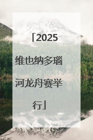 2025维也纳多瑙河龙舟赛举行