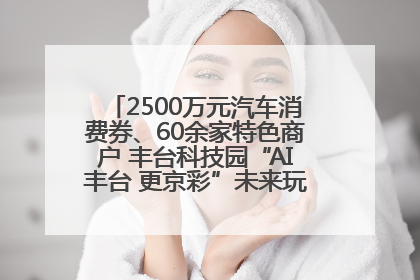 2500万元汽车消费券、60余家特色商户 丰台科技园“AI丰台 更京彩”未来玩家市集活动正式开幕