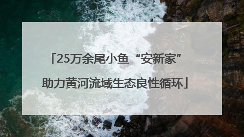 25万余尾小鱼“安新家” 助力黄河流域生态良性循环
