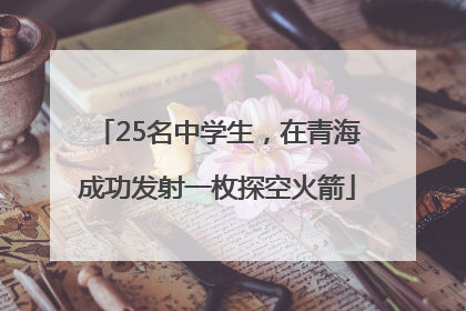 25名中学生，在青海成功发射一枚探空火箭