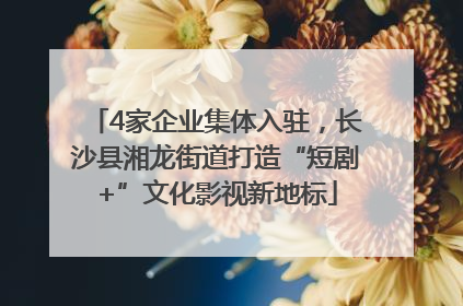 4家企业集体入驻，长沙县湘龙街道打造“短剧+”文化影视新地标