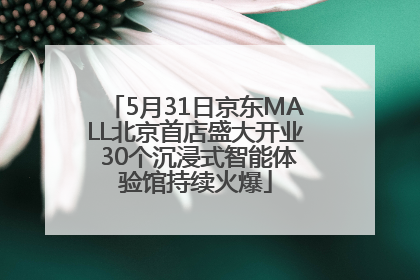 5月31日京东MALL北京首店盛大开业 30个沉浸式智能体验馆持续火爆