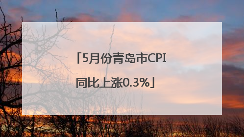 5月份青岛市CPI同比上涨0.3%