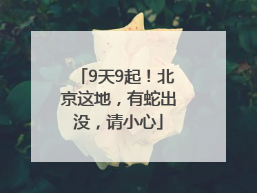 9天9起！北京这地，有蛇出没，请小心