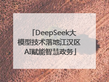 DeepSeek大模型技术落地江汉区 AI赋能智慧政务